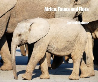 Africa: Fauna and Flora book cover