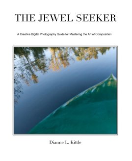 The Jewel Seeker book cover