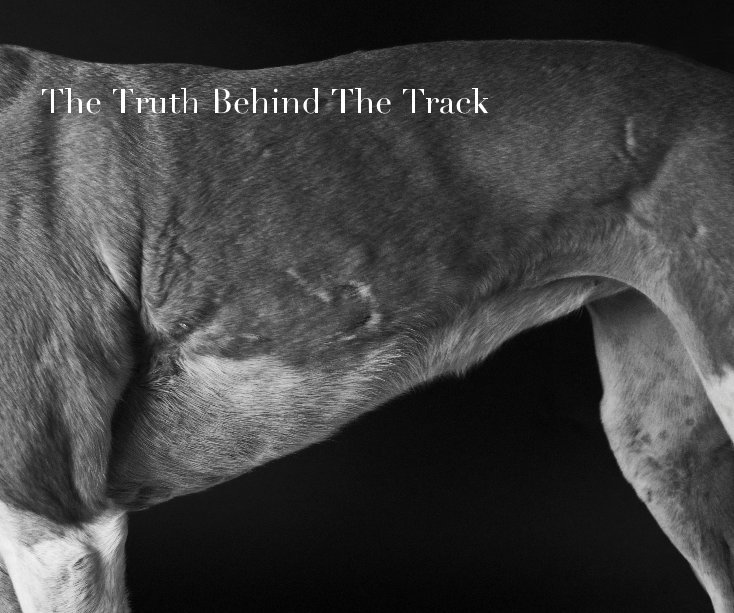 View The Truth Behind The Track by lorenarcher
