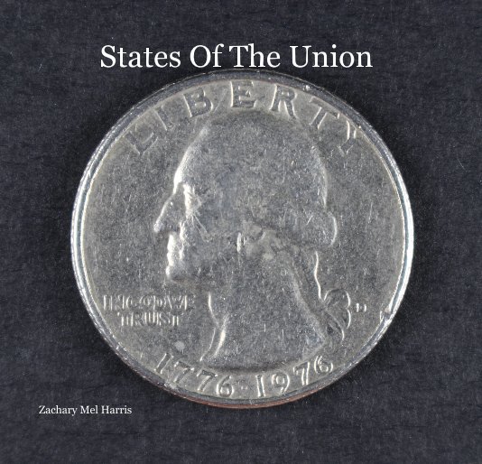 View States Of The Union by Zachary Mel Harris