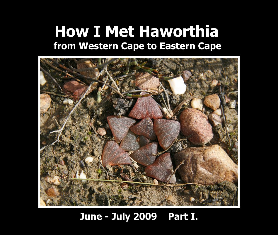 View How I Met Haworthia I. by Jakub Jilemicky