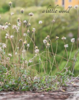 A Little World book cover