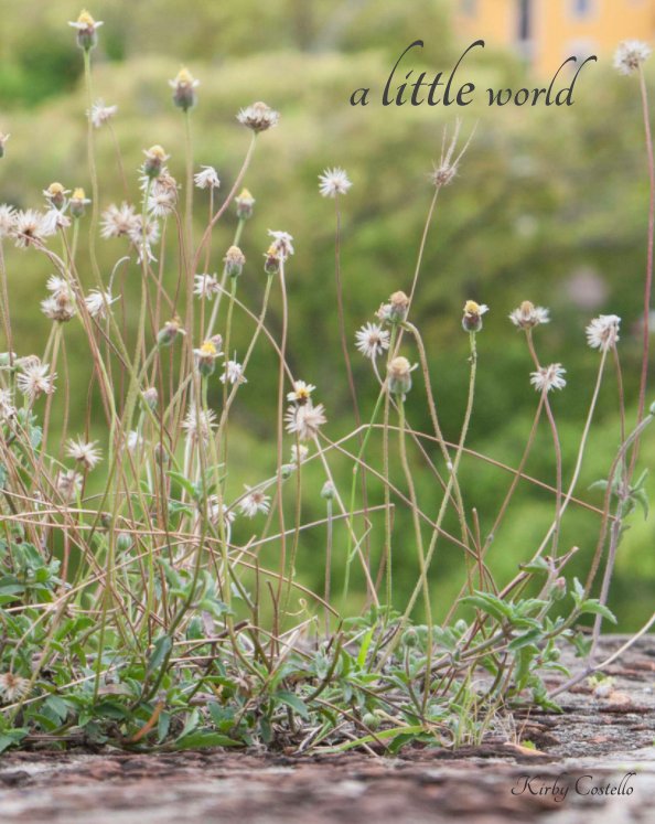 View A Little World by Kirby Costello