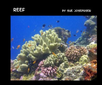 Reef by Sue Josephsen book cover