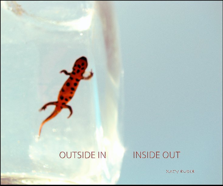 View Outside In      Inside Out by Katy Ruder
