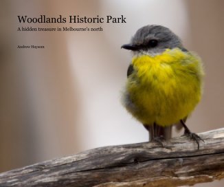 Woodlands Historic Park - 2nd Edition book cover