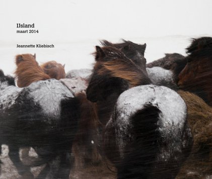 IJsland maart 2014 Jeannette Kliebisch book cover