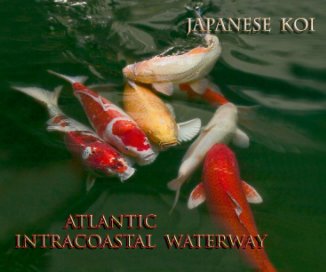 JAPANESE KOI & ATLANTIC INTERCOASTAL WATERWAY book cover