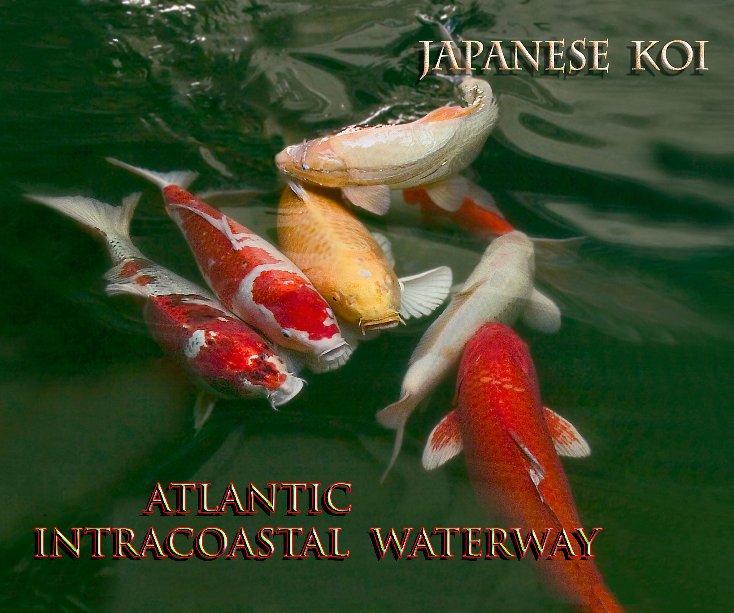 Ver JAPANESE KOI & ATLANTIC INTERCOASTAL WATERWAY por Hal Kaye