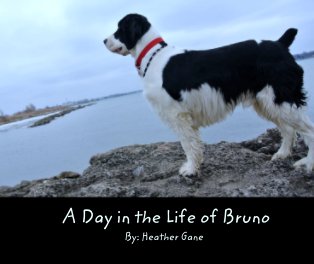 A Day in the Life of Bruno book cover