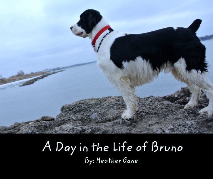 View A Day in the Life of Bruno by By: Heather Gane