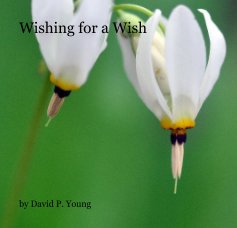 Wishing for a Wish book cover