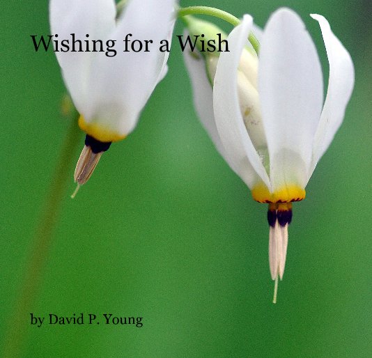 Ver Wishing for a Wish por David P. Young