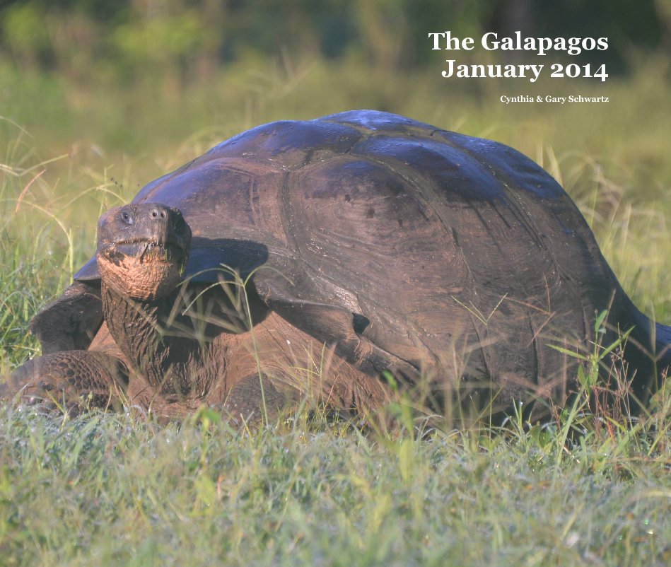 View The Galapagos January 2014 by Cynthia & Gary Schwartz