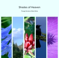 Shades of Heaven book cover