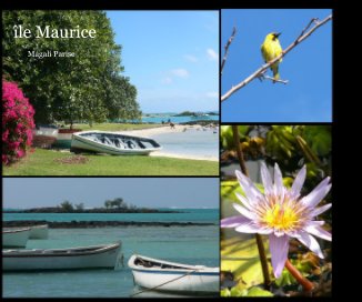 île maurice 2 book cover