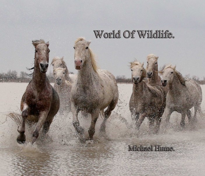 World Of Wildlife. nach Michael Hume anzeigen
