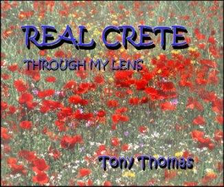 REAL CRETE book cover