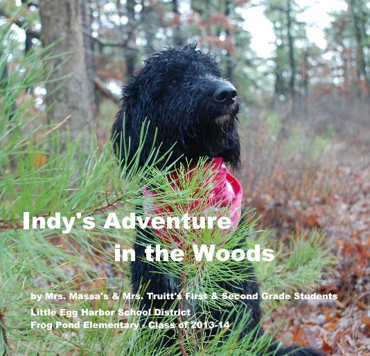 View Indy's Adventure in the Woods by Frog Pond Elementary Truitt and Massa