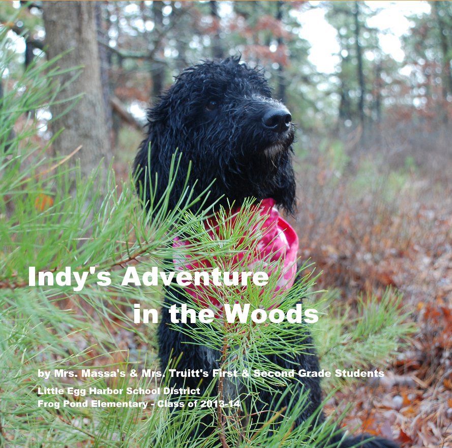 Visualizza Indy's Adventure in the Woods - Library Version di First and Second Grade Students of Massa and Truitt