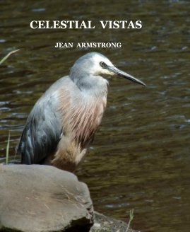 CELESTIAL VISTAS book cover