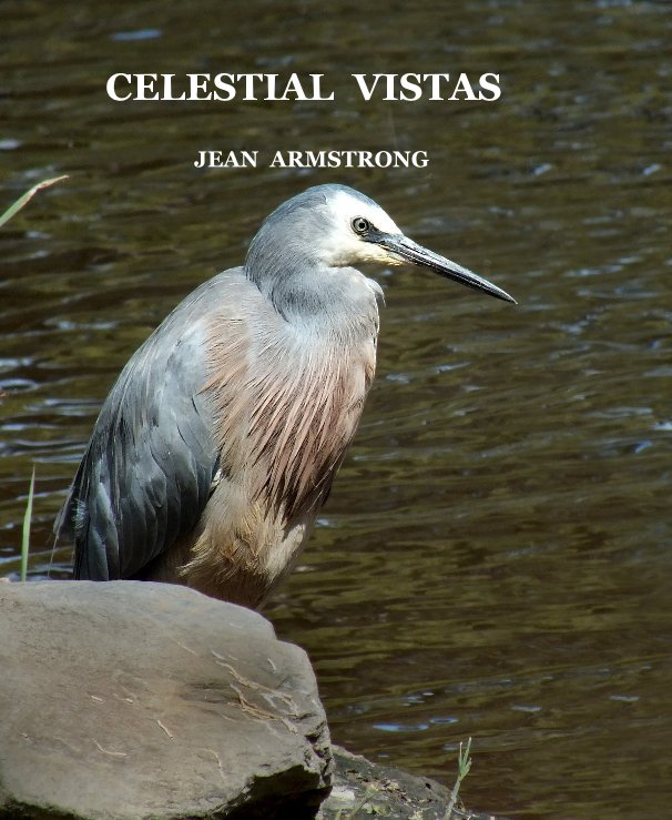 View CELESTIAL VISTAS by JEAN ARMSTRONG
