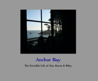 Anchor Bay book cover