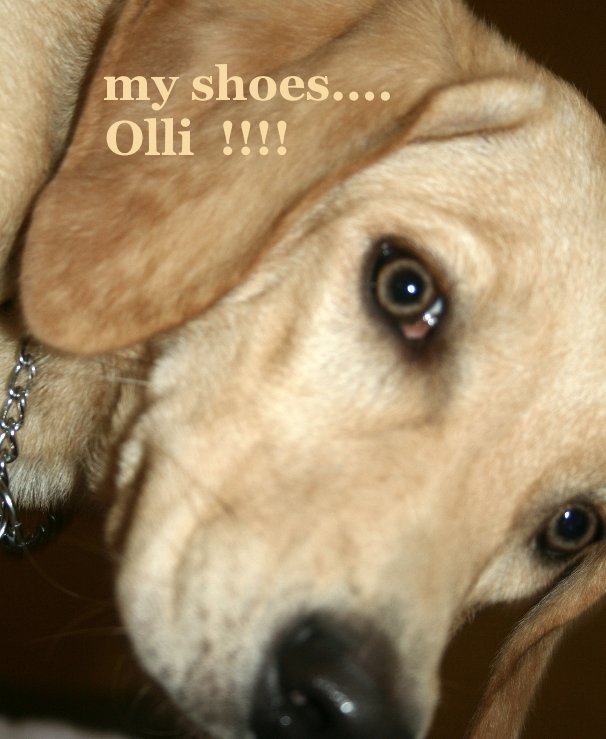 View my shoes.... Olli !!!! by VERA BRIONES