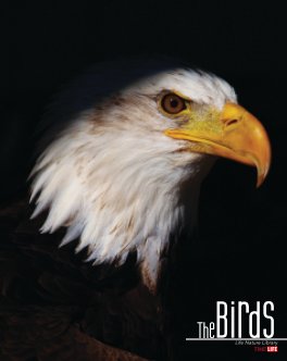 Timelife The Birds book cover