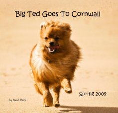 Big Ted Goes To Cornwall book cover