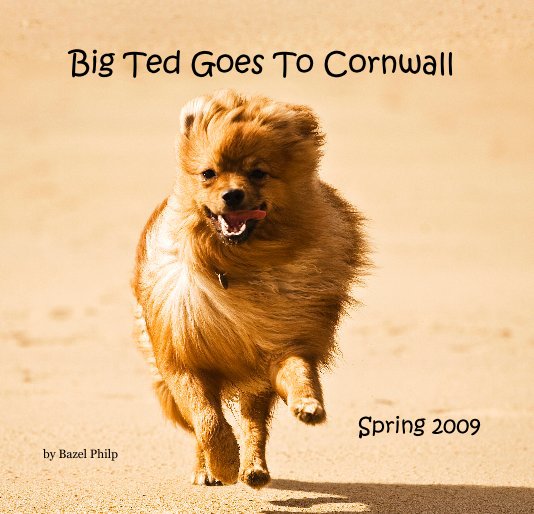 View Big Ted Goes To Cornwall by Bazel Philp