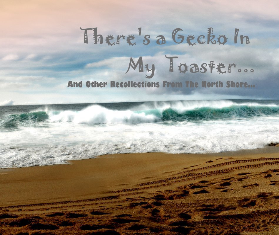 Visualizza There's a Gecko In My Toaster... And Other Recollections From The North Shore... di heidi1728