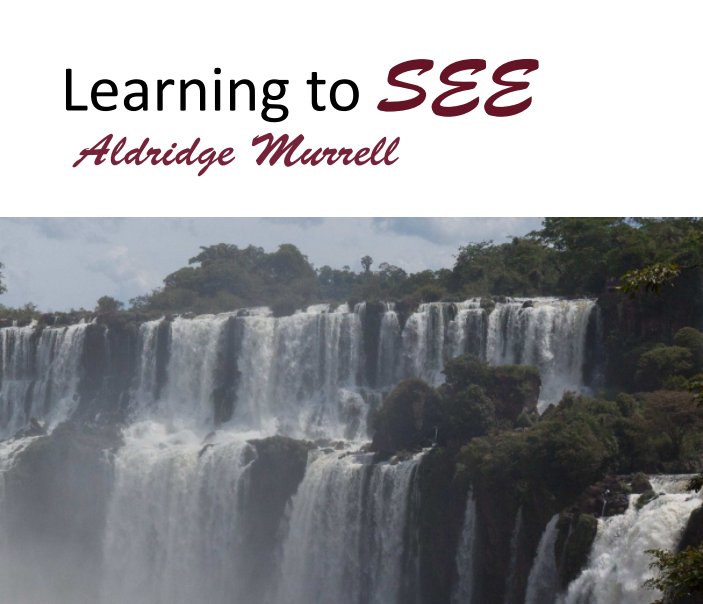 Ver Learning to See por Aldridge Murrell
