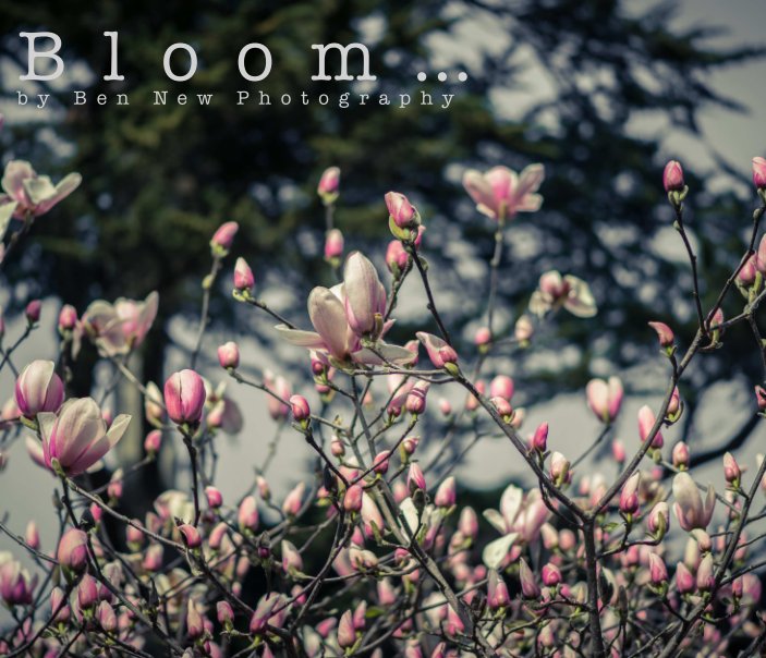 View Bloom by Benjamin New Photography