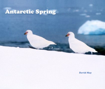 Antarctic Spring David May book cover