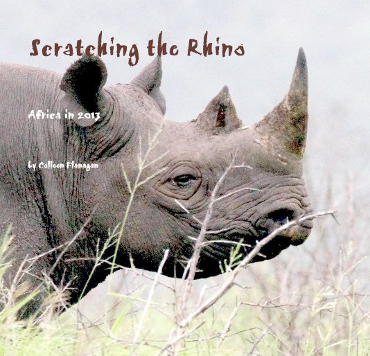 Ver Scratching the Rhino por Colleen Flanagan