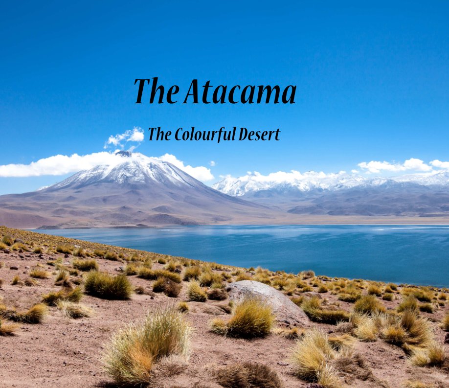 View The Atacama - The Colourful Desert by Bert Lozey