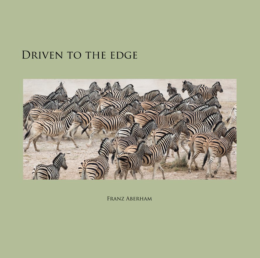 View Driven to the edge by Franz Aberham