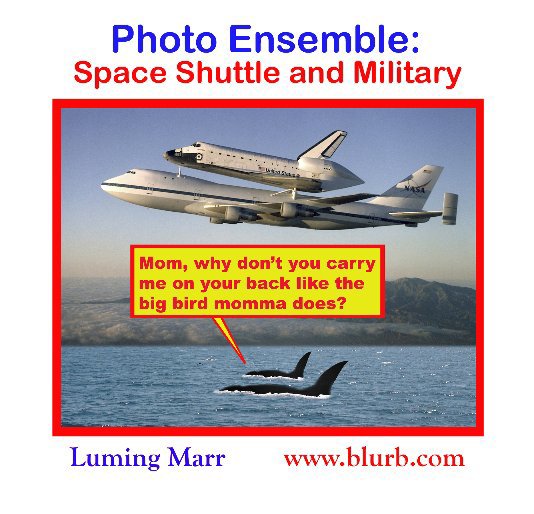 Ver Photo Ensemble:  Space Shuttle and Military por Luming Marr