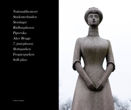 Statuer Oslo Vest book cover