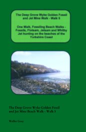 The Deep Grove Wyke Golden Fossil 
and Jet Mine Beach Walk - Walk 5 book cover