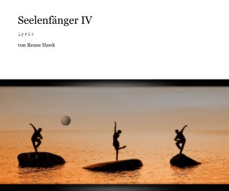 Seelenfänger IV book cover
