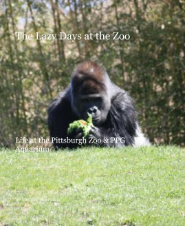 The Lazy Days at the Zoo book cover