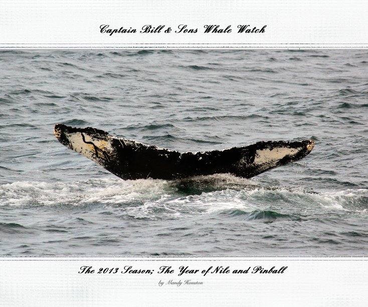 Visualizza Captain Bill & Sons Whale Watch di Mandy Houston
