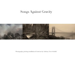 Songs Against Gravity book cover