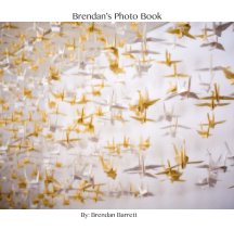 Brendan's Photo Book book cover