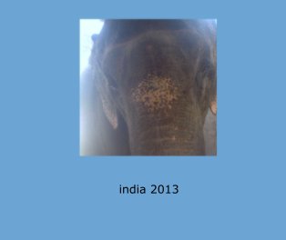 india 2013 book cover