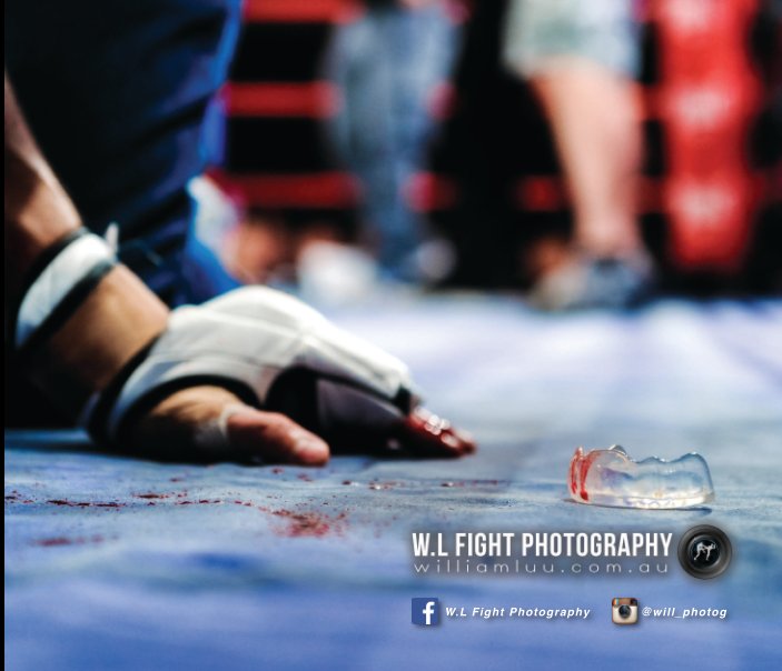 Visualizza W.L Fight Photography (10"x8") di William Luu