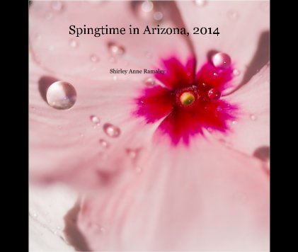Spingtime in Arizona, 2014 book cover