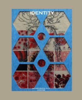 Identity book cover